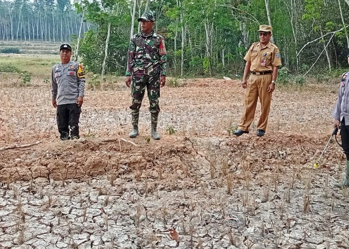 Cegah Kebakaran Hutan, Polsek Madang Suku II Patroli Karhutla di Desa Nikan