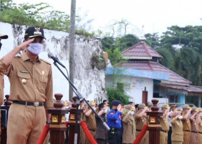 Begini Nasib Ribuan Pelamar PPPK di Sumsel, Lolos Seleksi 2021 Belum Diangkat