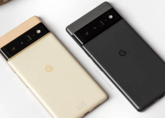 Google Pixel 6 Pro: Smartphone Fotografi dengan RAM 12 GB, Cek Spesifikasinya