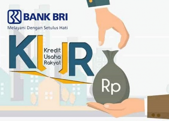 KUR BRI: Debitur Semakin Dipermudah Kembangkan Usaha, Bunga Kecil Pencairan Cepat 