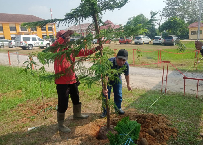 Sambut Penilaian Adipura, Direktur RSUD dr Dedy Damhudi Gercep Penghijauan Halaman