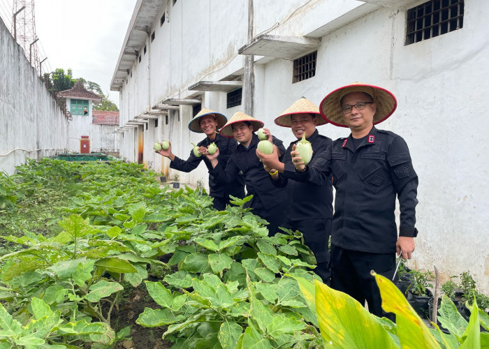 Lapas Martapura Gelar Panen Raya Sayur ke 6 Kali