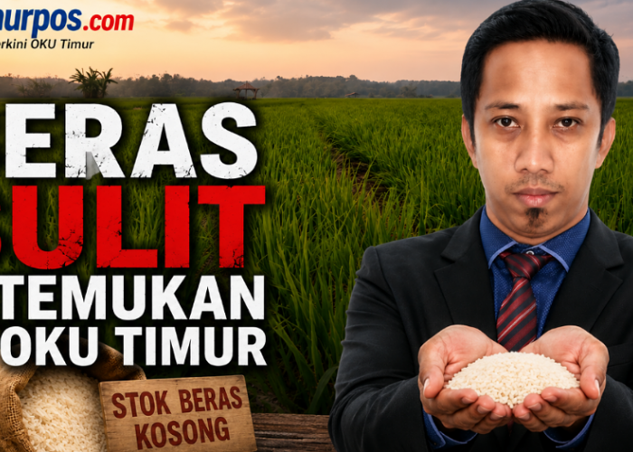 Padi Melimpah Beras Langka: Ada Apa dengan Rantai Pasok OKU Timur?