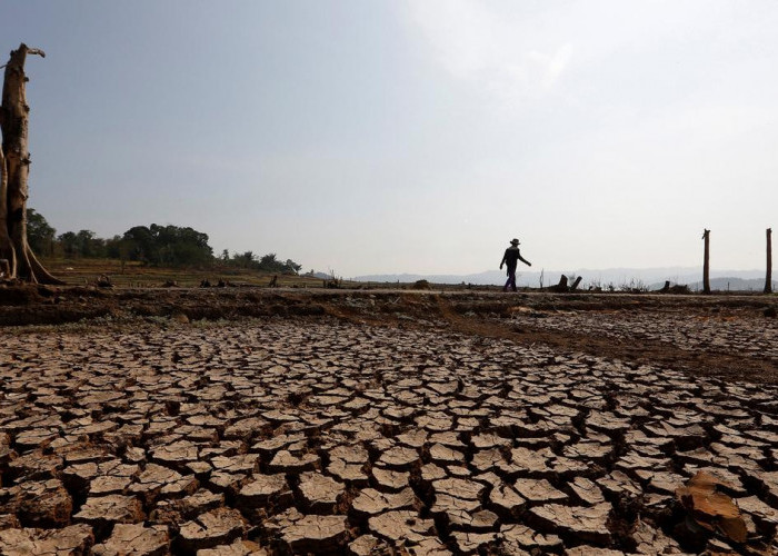 Waspada! Ini Daftar Kota di Indonesia yang Bakal Dilanda Kekeringan Akibat El Nino