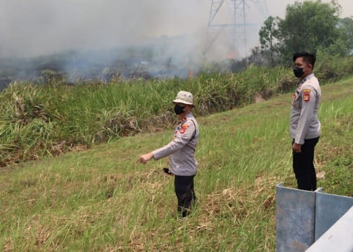 Kejari Ogan Ilir Proses Kasus Kebakaran Lahan yang Libatkan Tiga Warga Tanjung Batu 