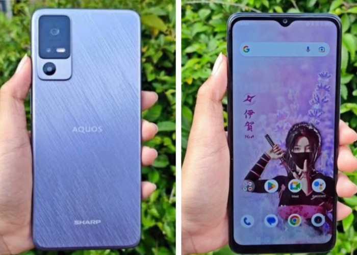 Meluncur November 2022, Berikut Spesifikasi Smartphone Jepang SHARP Aquos V6 5G Harga 1 Jutaan