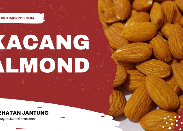 Inilah 7 Manfaat Alami dari Kacang Almond, Cemilan yang Wajib dikonsumsi untuk Menjaga Kesehatan Jantung