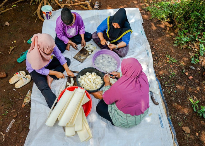 Kredit Macet Menurun, Direktur Utama BRI Ungkap Strategi Tingkatkan Kualitas Aset