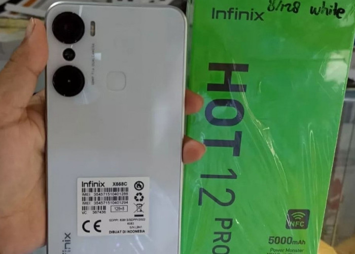 Infinix Hot 12 Pro, HP Desain Bodi yang Fresh dan Menawan, Tawarkan Spesifikasi Gahar Harga Rp 2 Jutaan