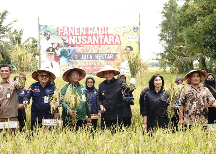 Dinas Pertanian OKU Timur Gelar Panen Padi Nusantara Bersama Petani