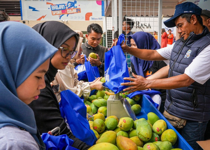 Diberdayakan BRI, Petani Mangga Bondowoso Mampu Perluas Lahan dan Tingkatkan Taraf Hidup