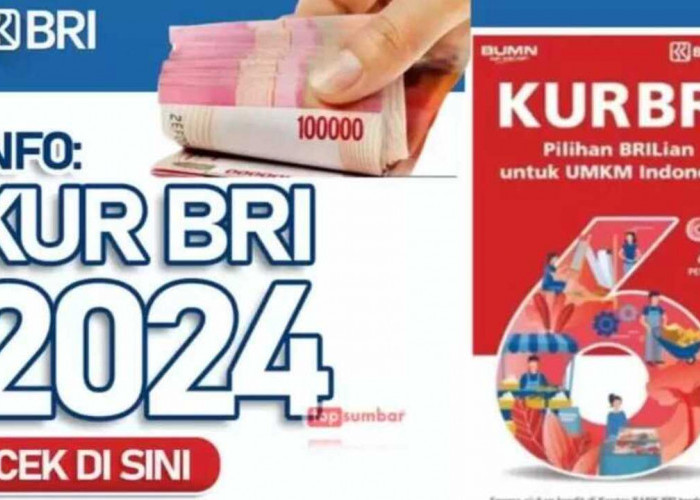 KUR BRI, Jadi 