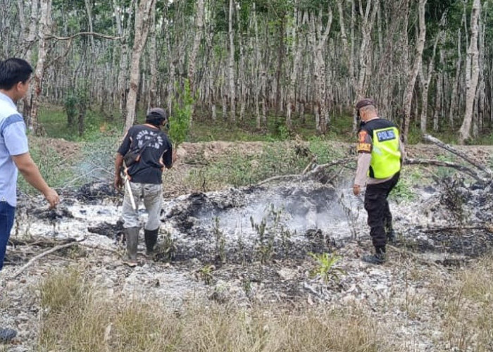 Deteksi Titik Hotspot dari Aplikasi Stop Karhutla, Polsek Belitang II OKU Timur Cek Lokasi di Bangunrejo