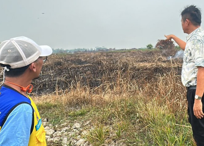 Karhutla Capai 45 Hektare di OKU Timur, Pemkab Siapkan Posko dan Pertimbangkan Water Bombing