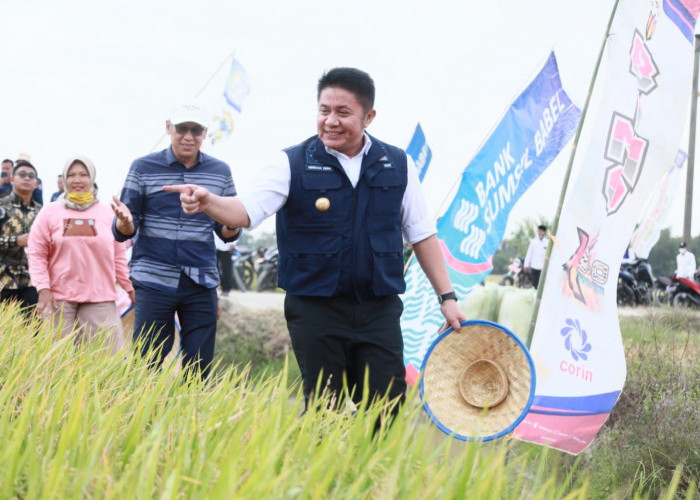 Gubernur Sumsel Herman Deru Serahkan Bantuan Pertanian untuk Semangati Petani 