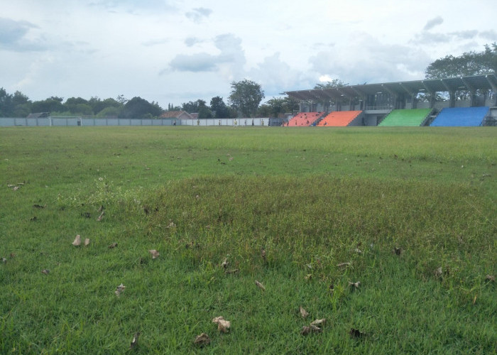 Tidak Terawat, Stadion Sepakbola Kebanggaan Masyarakat OKU Timur Mulai Dijajah Rumput Liar