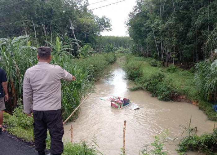 Hindari Serempetan,  Izusu Nyemplung Sungai, Warga Bantu Evakuasi