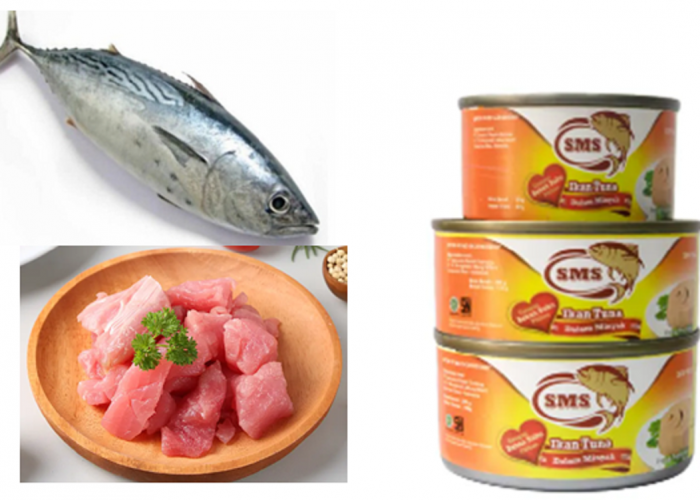 Ikan Tuna:  Baik untuk Kesehatan Jantung, Otak dan Persendian