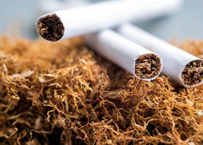 Ini Info Harga Rokok Terbaru Mulai Berlaku 1 Januari 2023