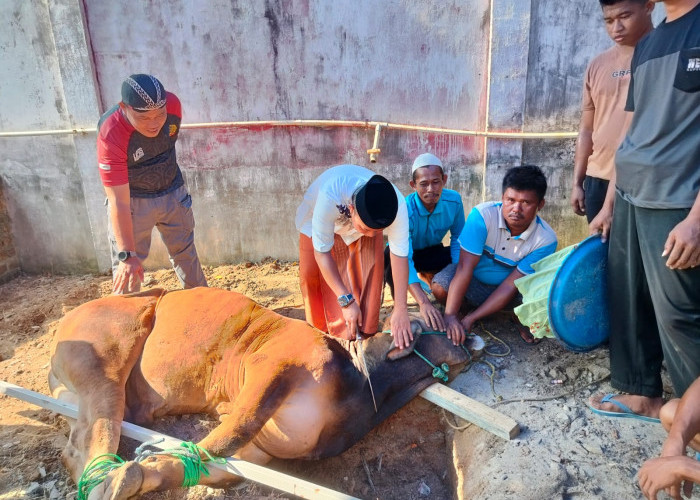 Kalapas Hadir Bersama Warga Binaan, Lapas Martapura Gelar Sholat Idul Adha  Hingga Potong Hewan Qurban