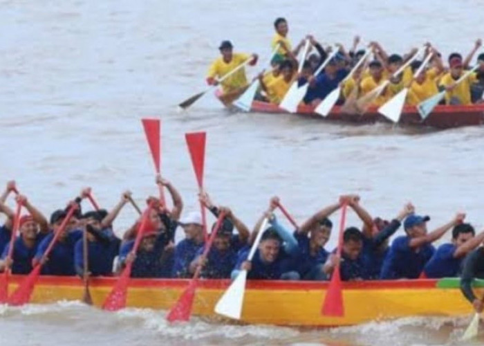 Tujuh Penyebab Perahu Bidar Pemulutan Sering Menang Lomba Dayung, Adakah Pengaruh Pawang Buaya?