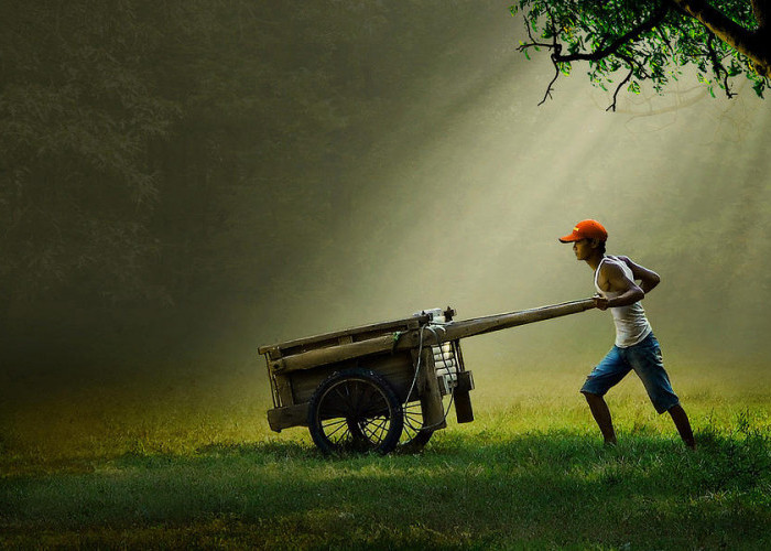 4 Alasan Anak Muda Kurang Minati Pertanian, Padahal Pertanian Pekerjaan Nenek Moyang Kita 