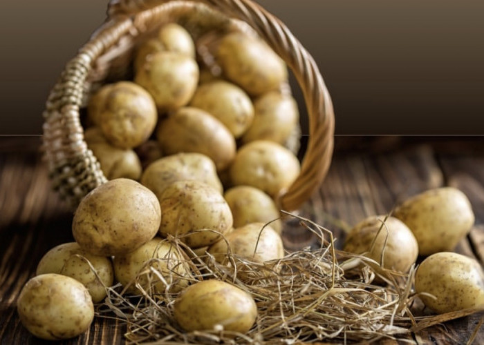Kentang, Selain Kaya Vitamin C, Ternyata Dapat Menjaga Kesehatan