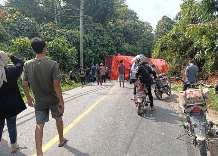 BREAKING NEWS: Fuso Terbalik Jalan Lintas Sumatera Lumpuh Total