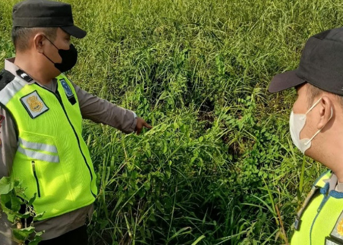Pantau Aplikasi Stop Karhutla, Polsek Cempaka Verifikasi Titik Api di Desa Campang Tiga Ulu
