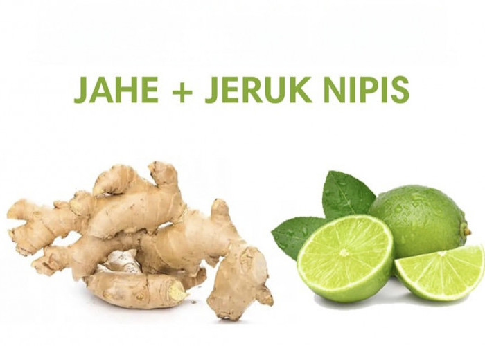 6 Manfaat Jahe dan Jeruk Nipis Bagi Kesehatan Salah Satunya Dapat Menjaga Kesehatan Rambut dan Kulit