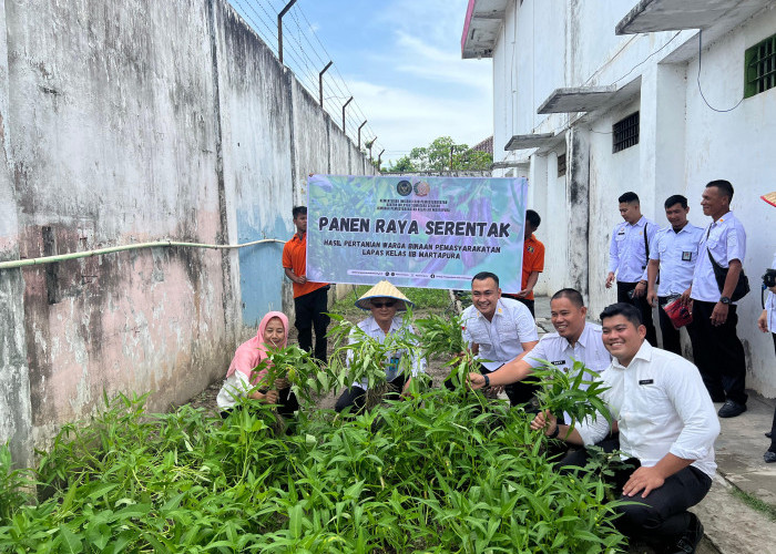 Lapas Martapura Panen Raya Serentak Bersama Dinas Pertanian, Sukseskan Program Ketahanan Pangan 