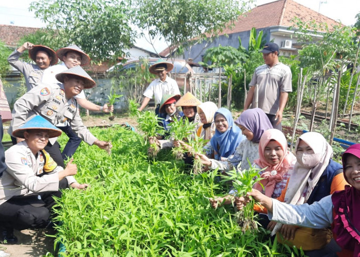 Lima Kelurahan Bakal Jadi Kampung Tangguh