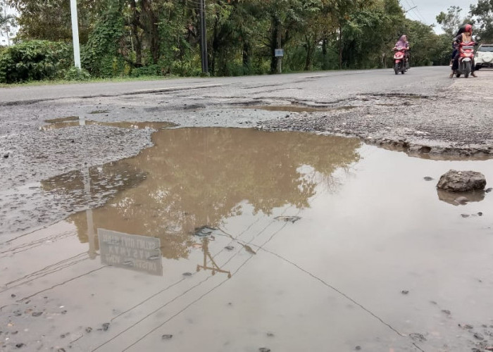 Bikin Miris, Banyak Lobang di Jalan Merdeka, Tapi Belum Ada Perbaikan