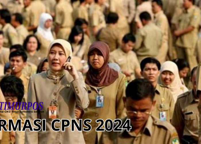 Pemerintah Buka 250.407 Formasi CPNS 2024, Berikut Tahapan dan Link Pendaftarannya