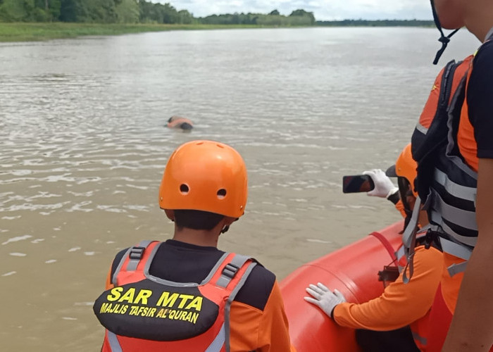 Jasat Bocah Ditemukan 100 Meter dari Pintu Bendungan Irigasi Sungai Komering, Posisi Tertelungkup