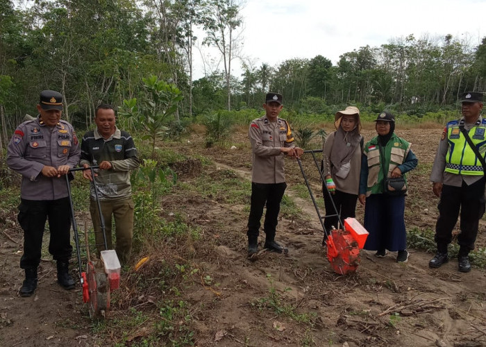 Penanaman Jagung 1 Desa 1 Hektar Polsek Belitang III Dukung Ketahanan Pangan