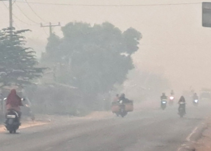 Kabut Asap Tebal Kembali Selimuti Jalintim Palembang–Jambi di Musi Banyuasin
