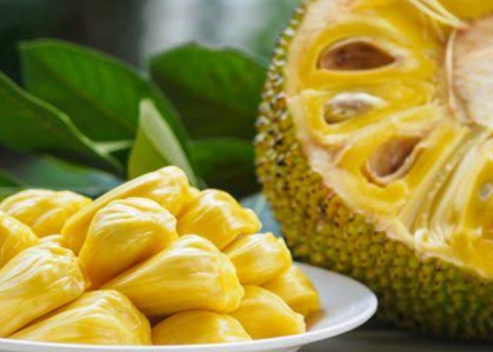 Buah Nangka Mengandung Nutrisi yang Sangat Baik untuk Kesehatan, Termasuk Mencegah kanker