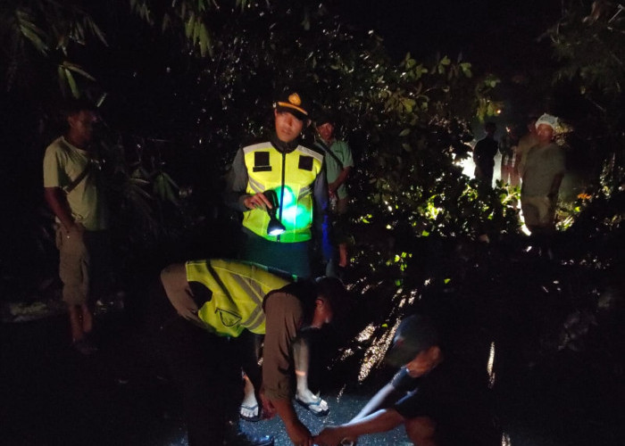 IPDA Sapariyanto dan Warga Lakukan Evakuasi Pohon Tumbang di Jalan