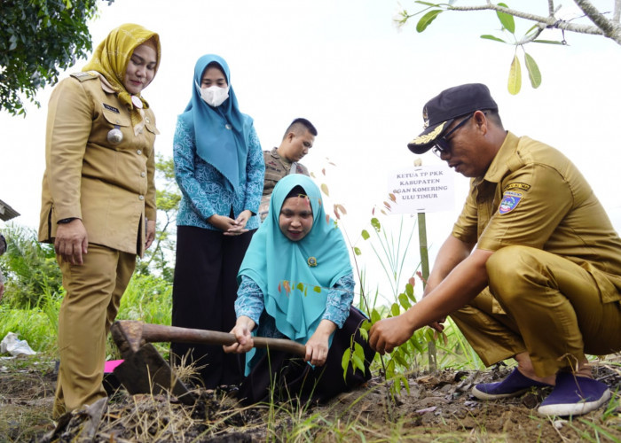 TP PKK Bersama Camat Bunga Mayang Kompak Tanam Pohon di Pesisir Sungai Komering