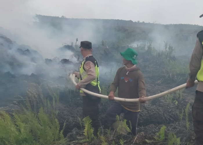 Empat Hektar Lahan Gambut PT GNS di OKU Timur Terbakar, Api Berhasil Dipadamkan