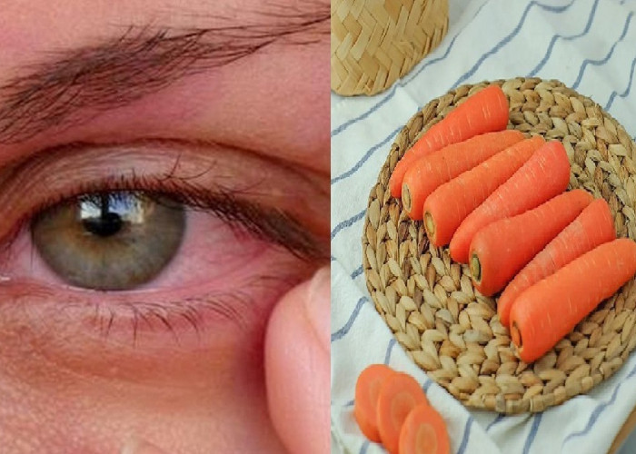 Rutin Mengkonsumsi Wortel dapat Meningkatkan Kesehatan Mata, Menurunkan Resiko Penglihatan yang Kabur
