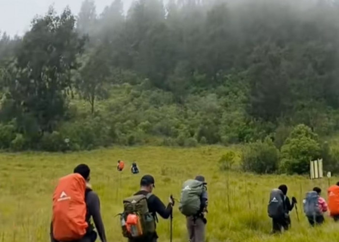 Innalillahi, Tragedi di Lereng Gunung Argopuro Mahasiswi Unej Meninggal dalam Kegiatan Pecinta Alam
