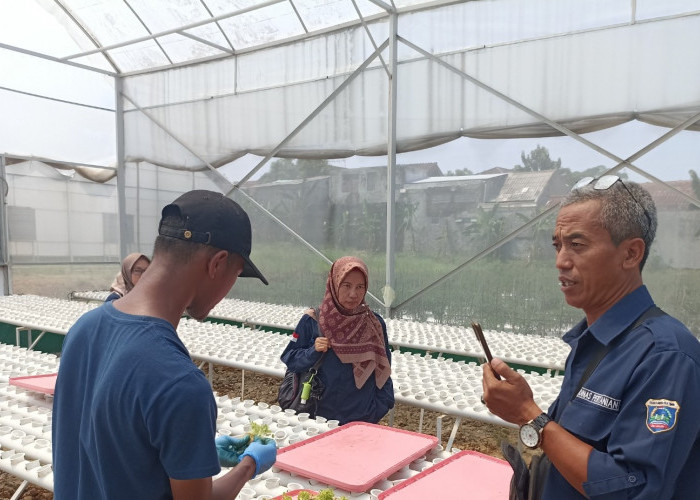 Dorong Pertanian Modern OKUT, Dinas Pertanian Tinjau SGH di Polbangtan Bogor