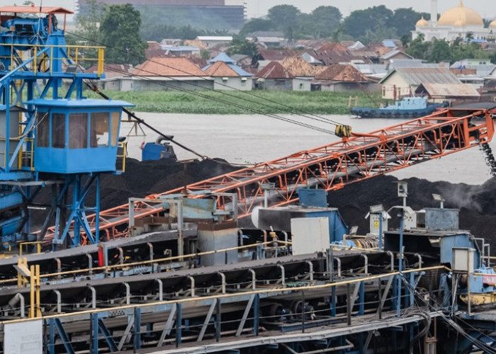Izin Kontraktor Afiliasi Diperketat ESDM, Bos PTBA Buka Suara Soal Nasib PT SBS