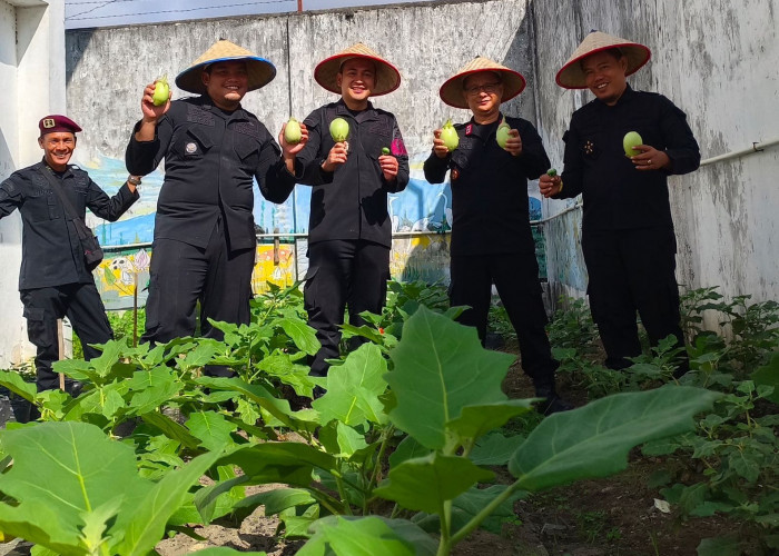 Patut Dicontoh, Lapas Martapura Sukses Panen Hortikultura Hingga 3 Kali