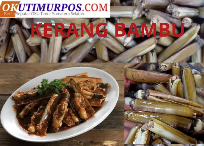 Resep Kerang Bambu, Sajian Kuliner Tradisional Kaya Manfaat dan Rasa