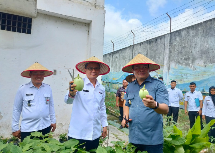 Asiknya Panen Raya Terong dan Ikan Lele di Lahan Ketahanan Pangan Lapas Martapura