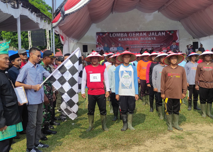 Karnaval Budaya Digelar GOW Bersama Disdikbud OKU Timur Memukau Masyarakat