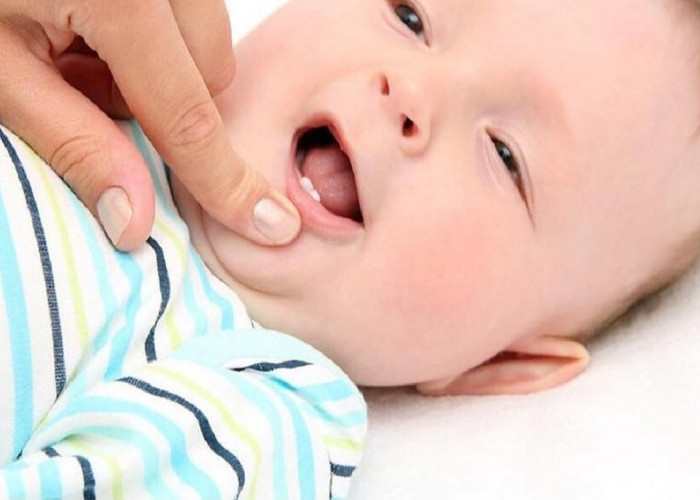 Impian Orang Tua untuk Melihat Timbulnya, Ini Proses Tumbuh Gigi pada Bayi